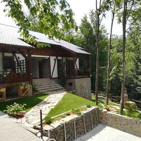 Ferienwohnung Casa Gozna Văliug Exterior foto