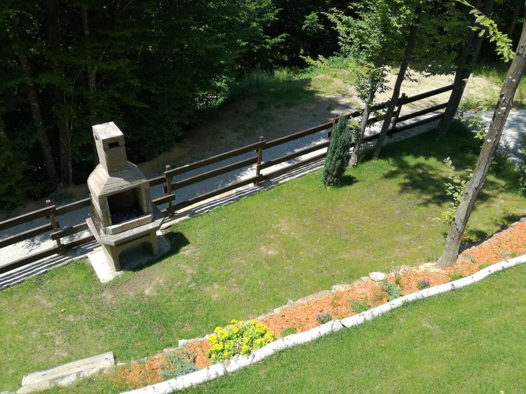 Ferienwohnung Casa Gozna Văliug Exterior foto