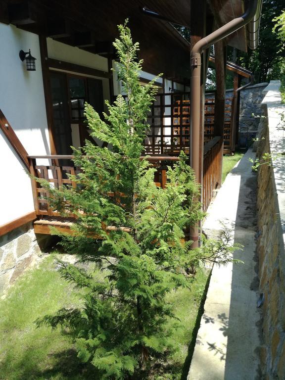 Ferienwohnung Casa Gozna Văliug Exterior foto