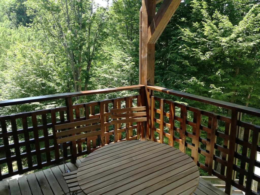 Ferienwohnung Casa Gozna Văliug Exterior foto