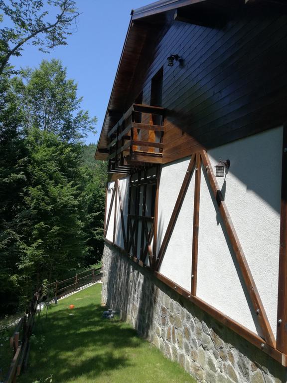 Ferienwohnung Casa Gozna Văliug Exterior foto