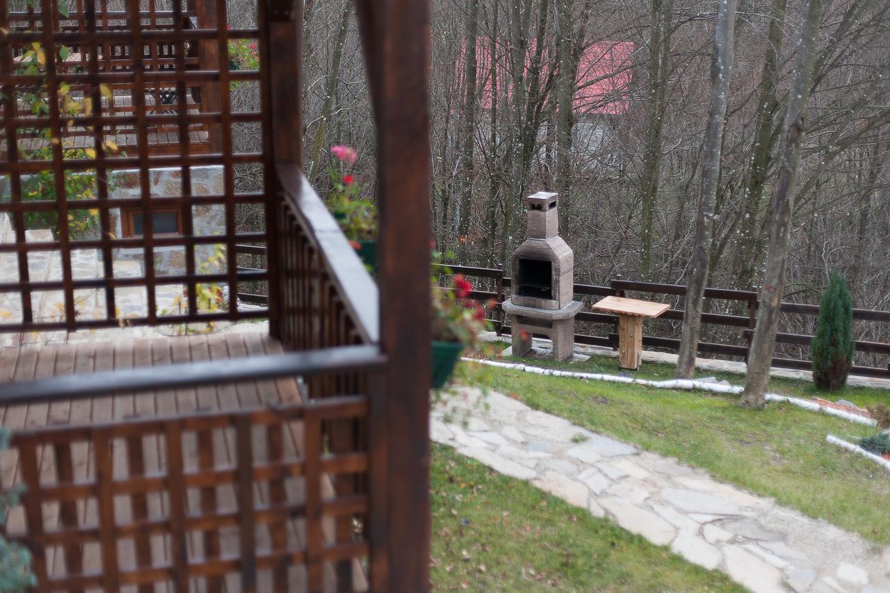 Ferienwohnung Casa Gozna Văliug Exterior foto