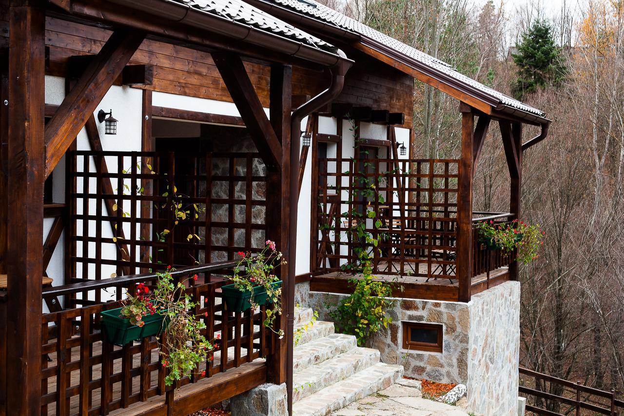 Ferienwohnung Casa Gozna Văliug Exterior foto