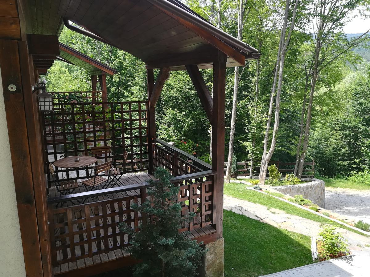 Ferienwohnung Casa Gozna Văliug Exterior foto