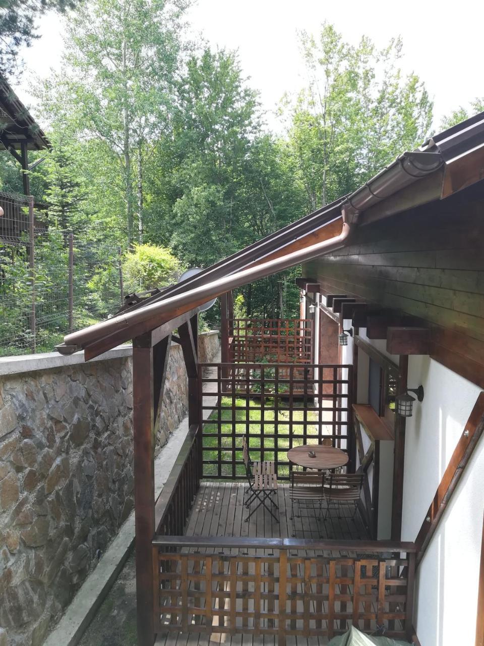 Ferienwohnung Casa Gozna Văliug Exterior foto