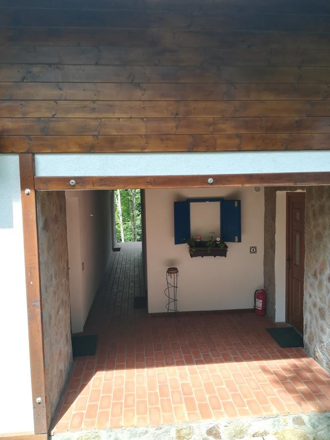 Ferienwohnung Casa Gozna Văliug Exterior foto